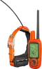 T5